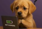 Laptop Şarj Oluyor Ama Yüzde Artmıyor: Adaptör mü Pil mi?