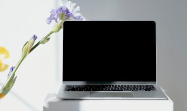 Birinci Sınıf Kaliteli Notebook Ekranı: İhtiyaçlarınızı Karşılamak İçin İdeal Seçenekler