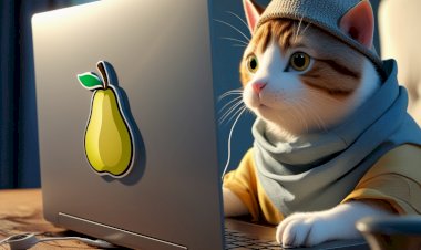 Adaptörü Takınca Donan Laptop: Kesin Çözüm Rehberi