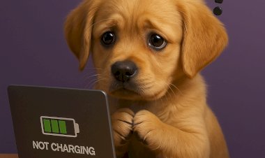 Laptop Şarj Oluyor Ama Yüzde Artmıyor: Adaptör mü Pil mi?