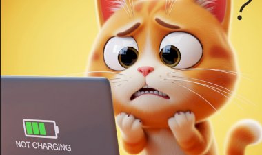 Laptopumun Şarjı Bazen Duruyor, Bu Bir Sorun mu?